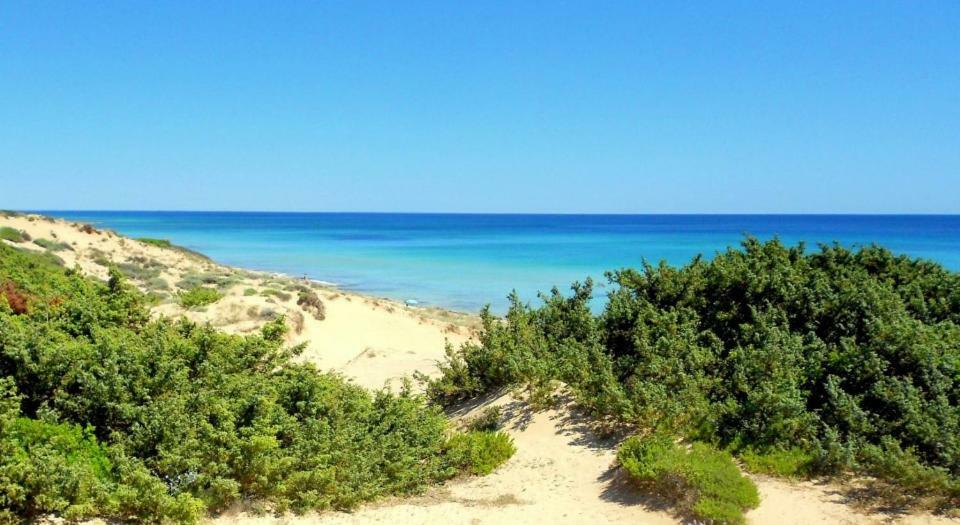 Casa Vacanze Dune Sul Mare 贝瓦尼亚圣彼得 外观 照片
